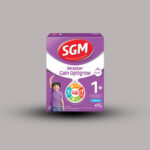 SGM 1